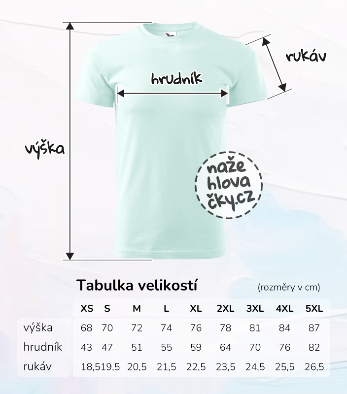 Tričko BASIC pánské frost
