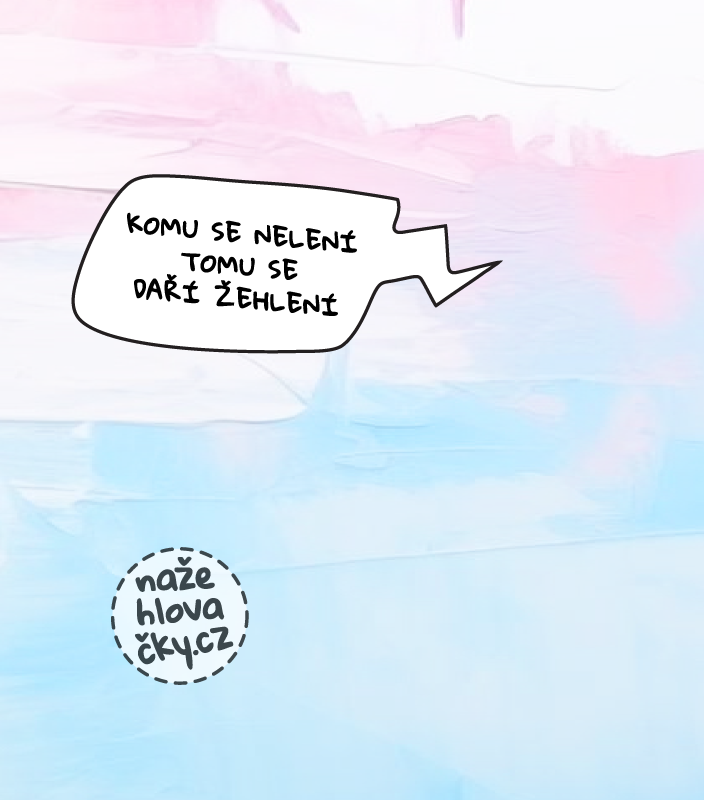 Tričko BASIC dámské černá