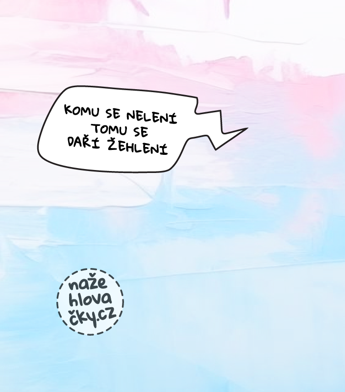 Tričko BASIC dámské kávová